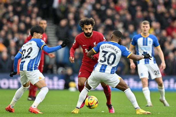 追随她的脚 追随她的脚