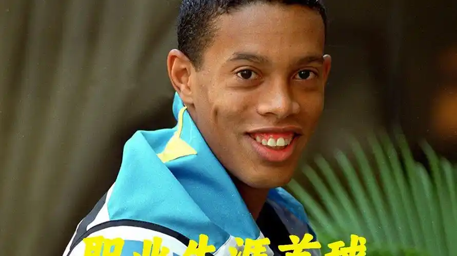 的职业成功 的职业成功